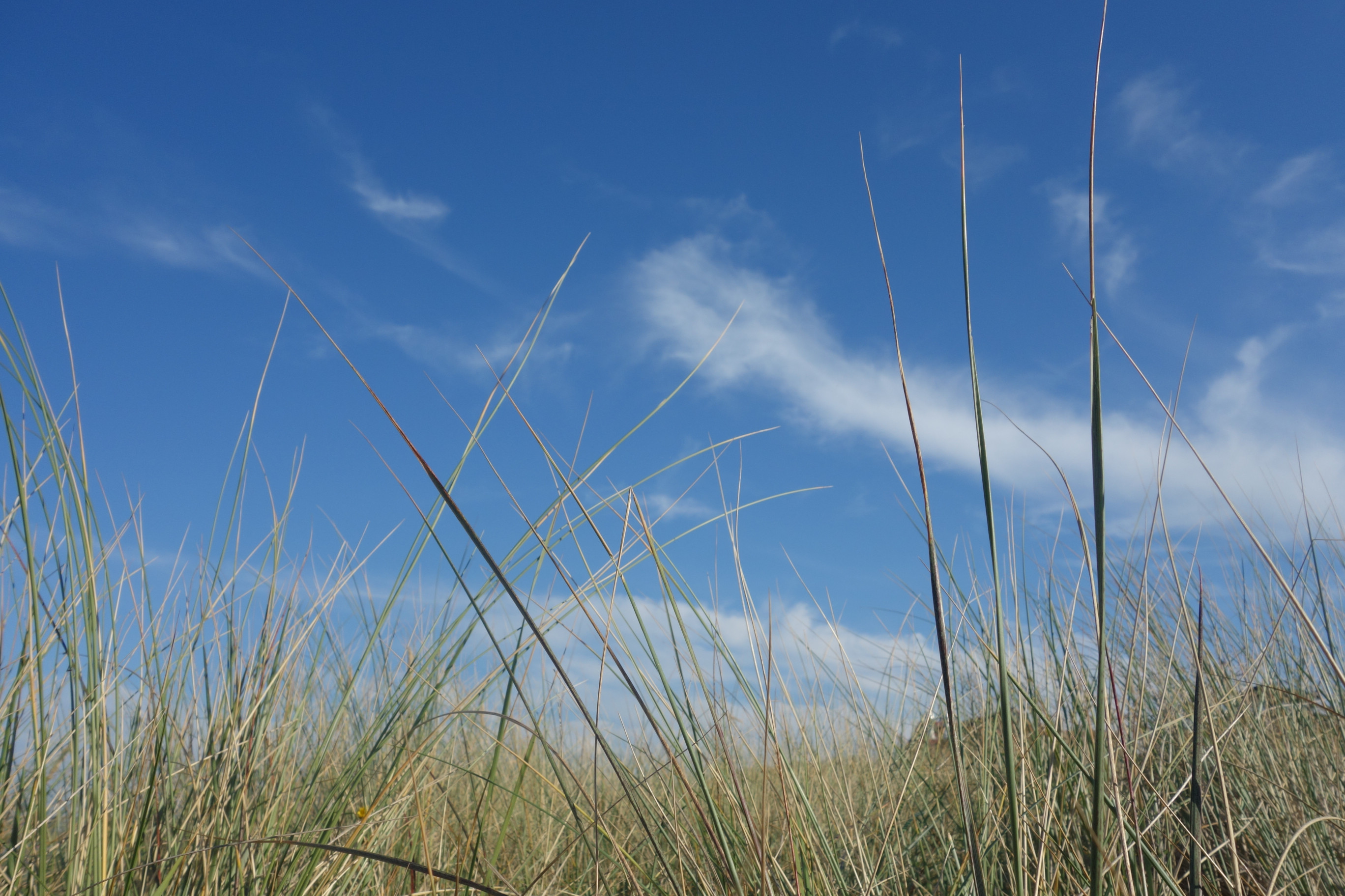 <span style="  border-radius: 10px; padding: 20px; background-color:  rgba(11, 121, 189, 0.5);">Urlaub an der Ostsee</span>